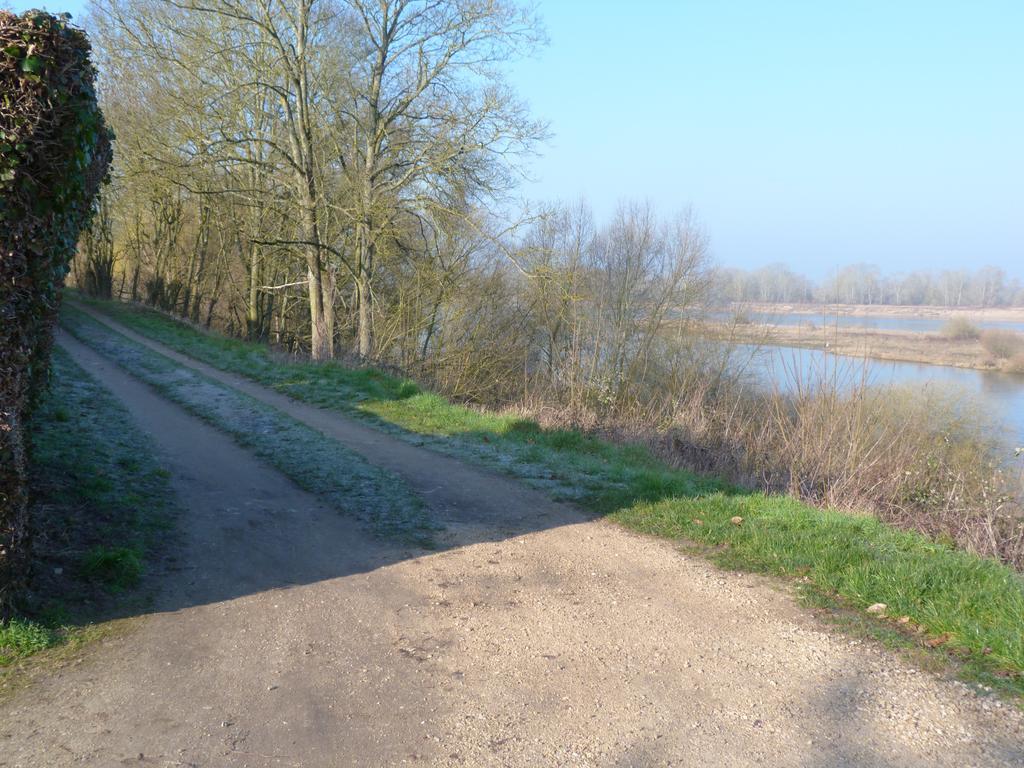Les Gites De Colliers Muides-sur-Loire Quarto foto