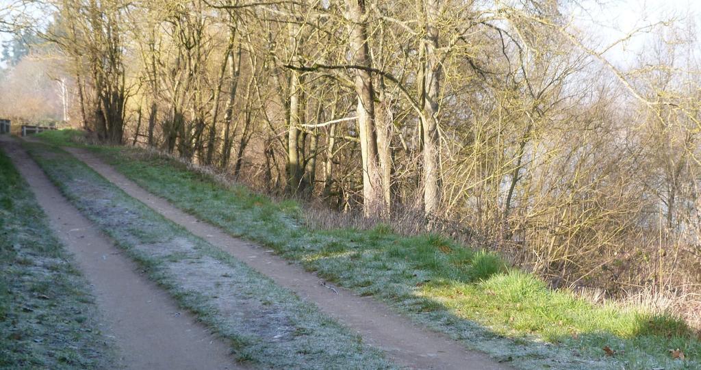 Les Gites De Colliers Muides-sur-Loire Quarto foto